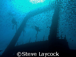 Ghiannis D, Bait ball and divers in the sun,  wow - could... by Steve Laycock 